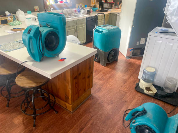  Mesita, NM Water damage restoration Pros