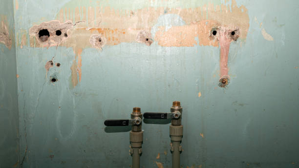 Best Commercial water damage restoration  in Mesita, NM