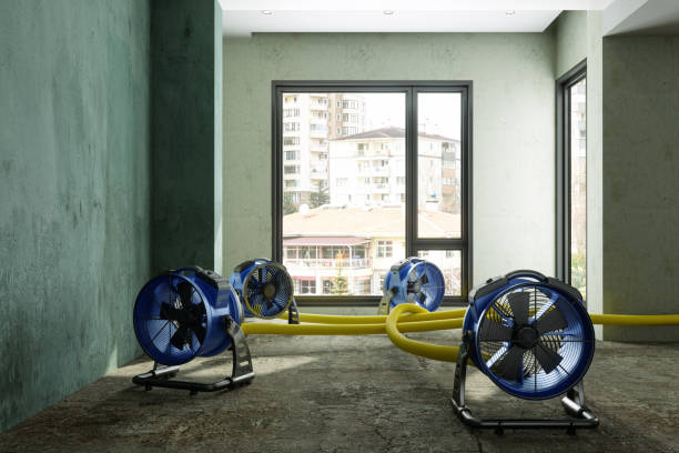 Best 24-hour water damage restoration  in Mesita, NM
